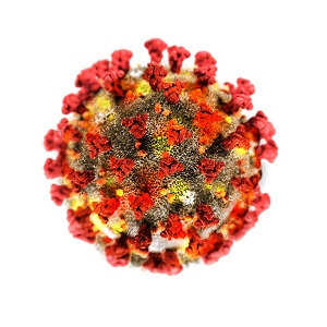 photo of a Coronavirus