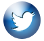 Button: Follow us on Twitter